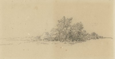 skovbryn af Narcisse Virgile Diaz de la Peña