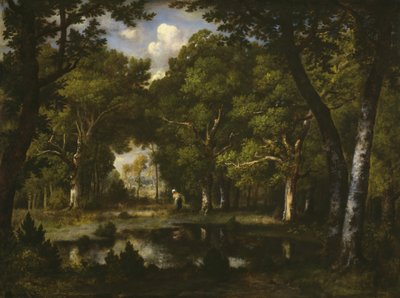 Dam i skoven, 1862. af Narcisse Virgile Diaz de la Peña