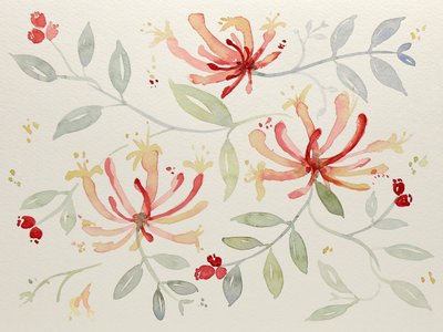 Delikate botaniske motiver i akvarel af Natalie Bruns