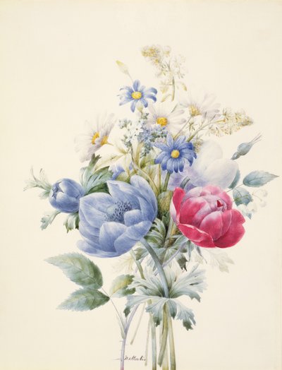 En rose, anemone, Mignonette og tusindfryd (wc og gouache på vellum) af Nathalie d