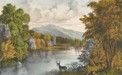 Moosehead Lake, Maine, 1857-72., 1857-72. Skabere: Nathaniel Currier, James Merritt Ives, Currier og Ives. af Currier and Ives
