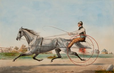 Grå Eddy af Nathaniel Currier