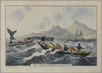 Hvalfiskeriet 