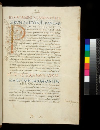 Ms 394.1. Plinius den ældre, Historia naturalis, f.1r. Oplyst initial [P] med dekoration af hvid vinstokke (ufærdig), Napoli, midten af 1400-tallet, ca. 1442 (pergament) af Neapolitan School