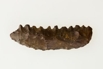 Bifacial segl, ca. 4500–4000 f.Kr. (flint) af Neolithic Neolithic