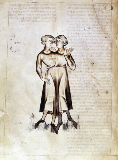 Sloane 3983 f.8v Tegning af Gemini, fra en oversættelse af en persisk astrologisk afhandling af Jafar ibn Muhammad (vellum) af Netherlandish School