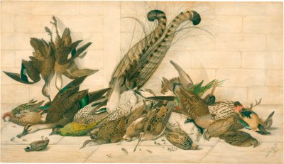 uden titel (australske gamebirds) af Neville Henry Cayley
