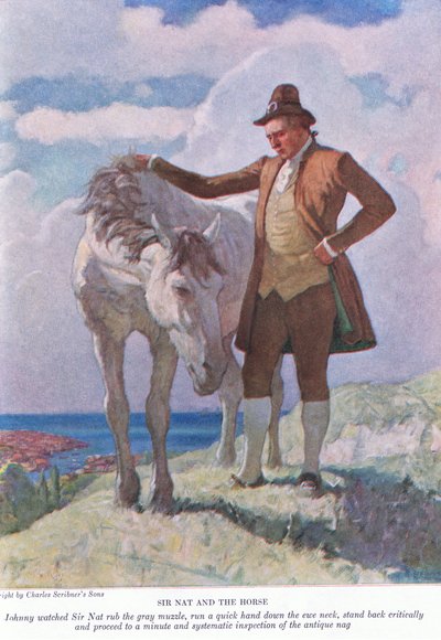 Sir Nat og hesten: Johnny så Sir Nat gnide den grå snude; stå tilbage og fortsæt til en minut og systematisk inspektion, 1928 af Newell Convers Wyeth