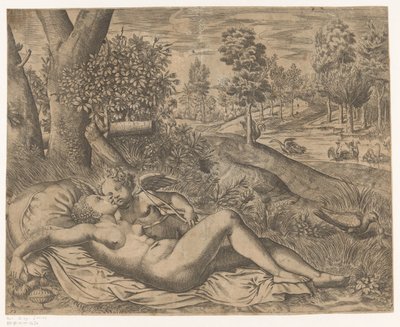 Venus forelsket af Niccolò Nelli