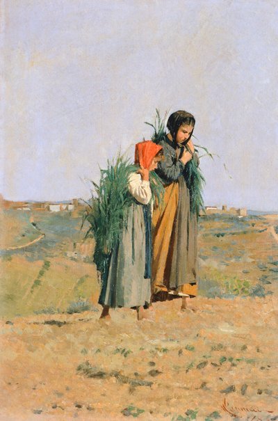 Erbaiole af Niccolo Cannicci