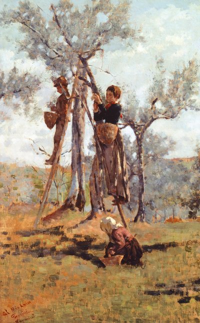 Olivenhøsten, ca 1892 (olie på lærred) af Niccolo Cannicci