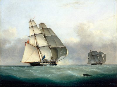 HMS 