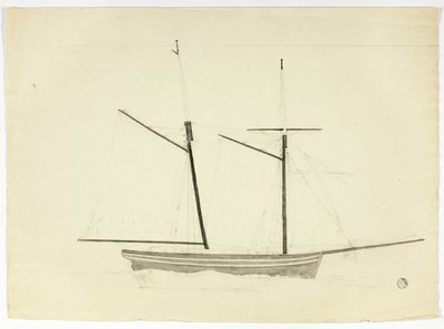 Hvaler af Nicholas Pocock
