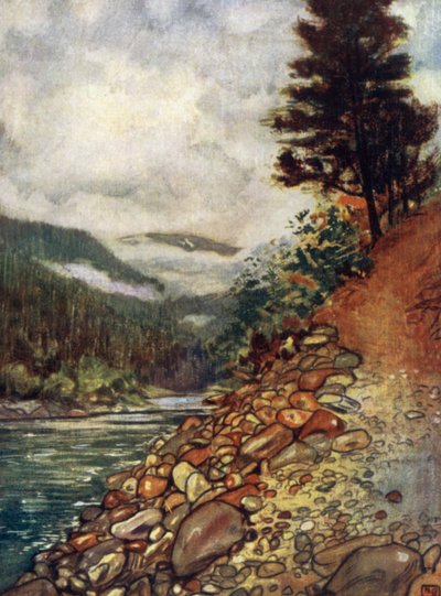 Norge: Flod ved Gjora (farve litho) af Nico Jungman