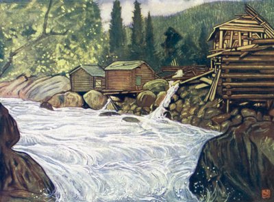 Norway: River at Haukelidani af Nico Jungman