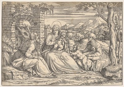 Den hellige familie med de hellige Elizabeth og Johannes, ca. 1550. af Nicolò Boldrini