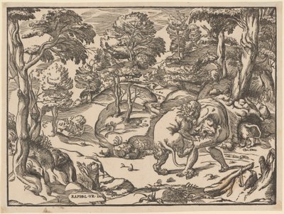 Hercules og Nemean Lion af Nicolò Boldrini, after Raphael