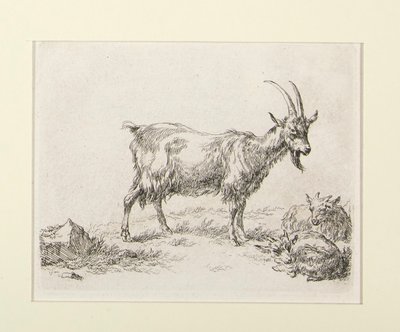 6 raderinger fra af Nicolaes Berchem