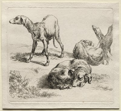 Animalia: Tre jagthunde af Nicolaes Berchem