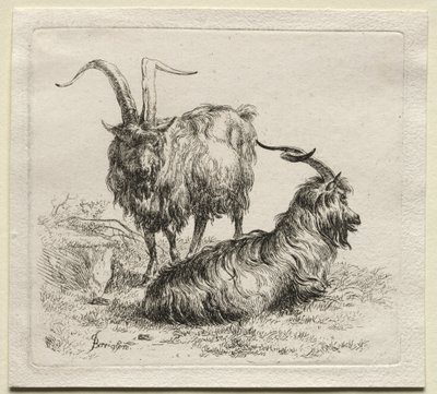Animalia: To geder af Nicolaes Berchem