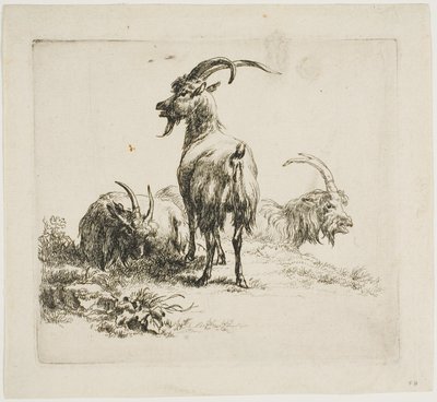 Geder, fra forskellige dyr af Nicolaes Berchem