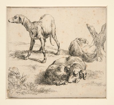 Tre jagthunde (fra af Nicolaes Berchem