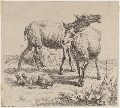 Tre får og et lam. af Nicolaes Berchem