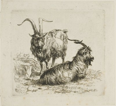 To Geder med store Horn, fra Forskellige Dyr af Nicolaes Berchem