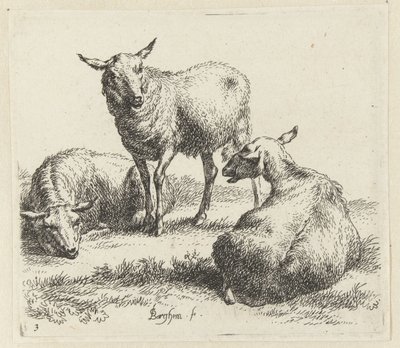 Tør fårene Schapen (serietitel) Dyr draget til livet og trykt i vand af stærk luft af Nicolai Berchems atelier og kunst (serietitel) af Nicolaes Pietersz Berchem
