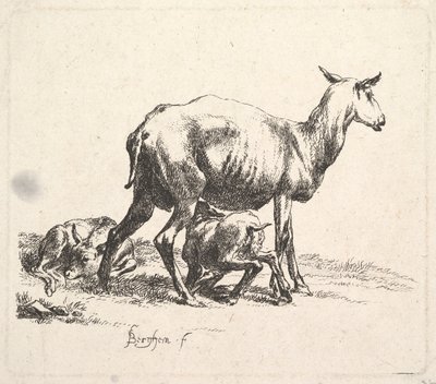Får med Lammepleje. af Nicolaes Pietersz. Berchem
