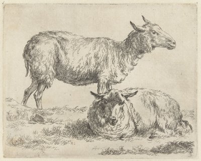 Staand en liggend schaap Schapen (serietitel) Dyr draget til livet og trykt i vand af stærk luft af Nicolai Berchems atelier og kunst (serietitel) af Nicolaes Pietersz Berchem