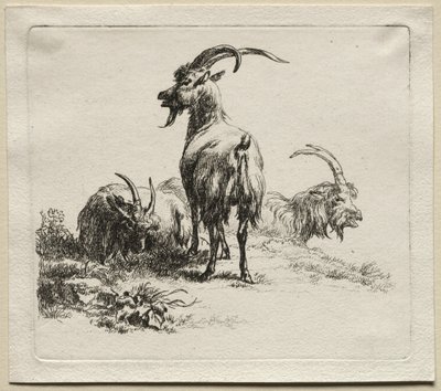 Tre geder. af Nicolaes Pietersz. Berchem