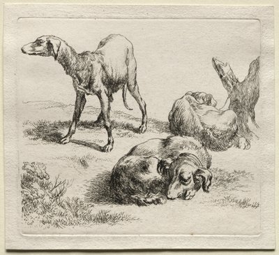 Tre jagthunde. af Nicolaes Pietersz. Berchem