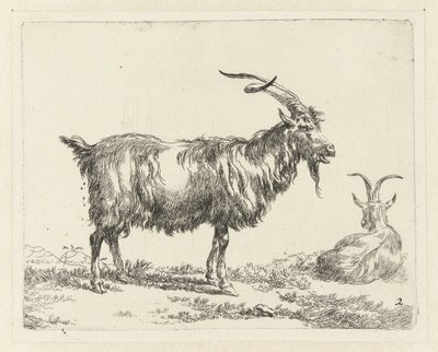 To geder Geiten (serietitel) Dyr draget til livet og trykt i vand af stærk luft af Nicolai Berchems atelier og kunst (serietitel) af Nicolaes Pietersz Berchem