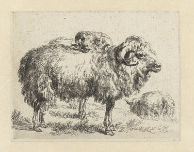 Twee rammen en een schaap Schapen (serietitel) Dyr draget til livet og trykt i vand af stærk luft af Nicolai Berchems atelier og kunst (serietitel) af Nicolaes Pietersz Berchem