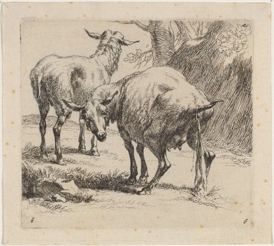 To får, et pisser af Nicolaes Pietersz Berchem