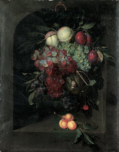 Swag af druer, ferskner, blommer og kirsebær med en snegl i en stenniche med en flok abrikoser og bi på en afsats, 1666 af Nicolaes Van Gelder