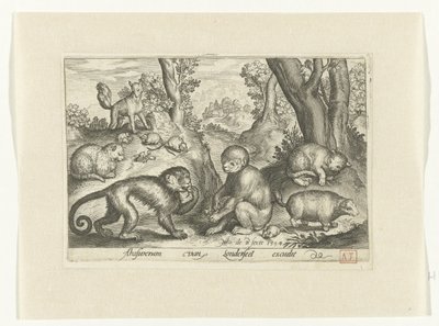 Aber, katte og mus Animalivm qvadrvpedvm (serietitel) Dyr i landskaber (serietitel) af Nicolaes de Bruyn