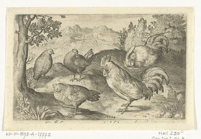 Tre høns og to haner Fugle og insekter (serietitel) af Nicolaes de Bruyn