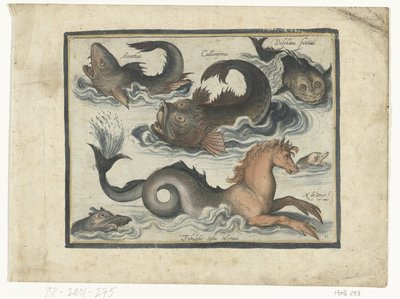 Fantastiske vanddyr, inklusive søhest Libelivs diverse Genera piscium complectens (serietitel) Ferskvandsfisk, havfisk, frøer, krebsdyr og havdyr (serietitel) af Nicolaes de Bruyn