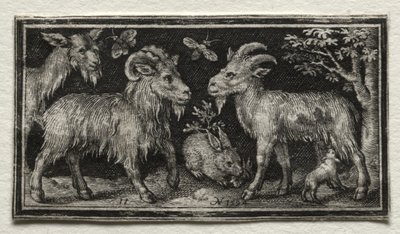Geder og Hare, 1594. af Nicolaes de Bruyn
