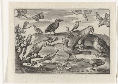 Humle og andre fugle Fugle og insekter (serietitel) af Nicolaes de Bruyn