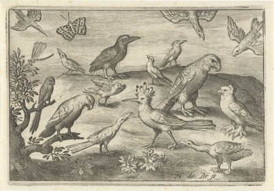 Humle og andre fugle Fugle og insekter (serietitel) af Nicolaes de Bruyn