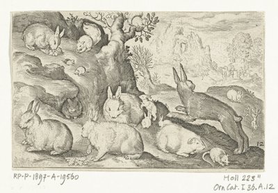 Kaniner, egern, marsvin og mus Animalivm qvadrvpedvm (serietitel) Dyr i landskaber (serietitel) af Nicolaes de Bruyn