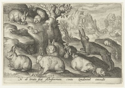 Kaniner, egern, marsvin og mus Animalivm qvadrvpedvm (serietitel) Dyr i landskaber (serietitel) af Nicolaes de Bruyn