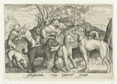 Ni hunde Animalivm qvadrvpedvm (serietitel) Dyr i landskaber (serietitel) af Nicolaes de Bruyn