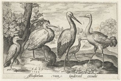 Stork, trane, hejre og skestork Fugle og insekter (serietitel) af Nicolaes de Bruyn