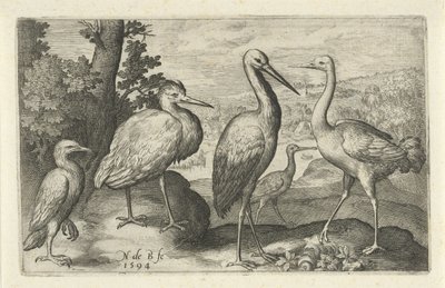 Stork, trane, hejre og skestork Fugle og insekter (serietitel) af Nicolaes de Bruyn