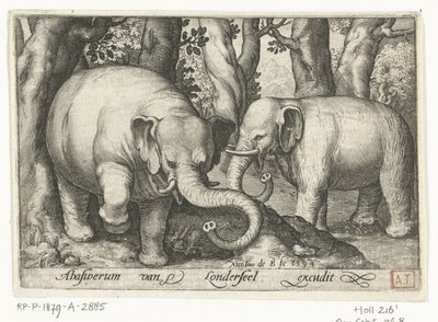 To elefanter Animalivm qvadrvpedvm (serietitel) Dyr i landskaber (serietitel) af Nicolaes de Bruyn