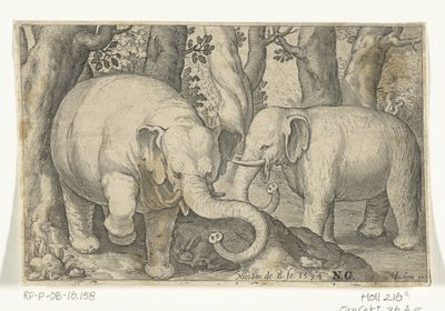 To elefanter Animalivm qvadrvpedvm (serietitel) Dyr i landskaber (serietitel) af Nicolaes de Bruyn